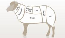 lamb