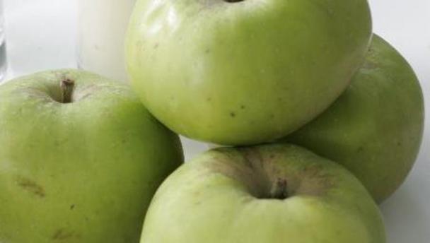 Bramley apple