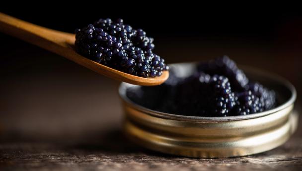 Caviar