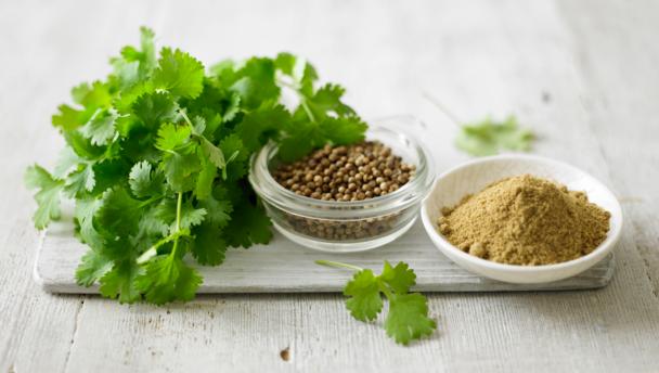 Fresh coriander