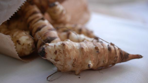 Jerusalem artichoke