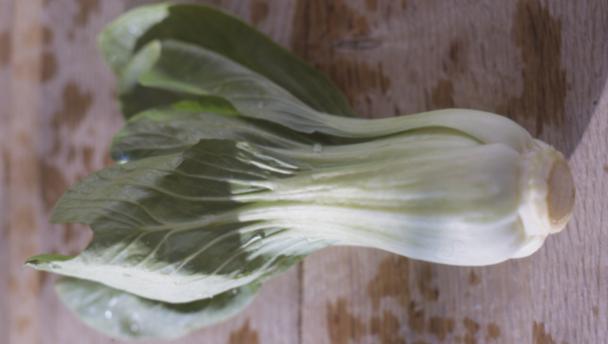 Pak choi