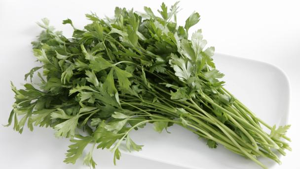 Parsley