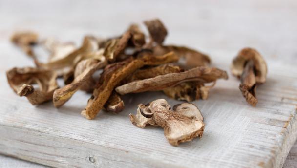 Porcini