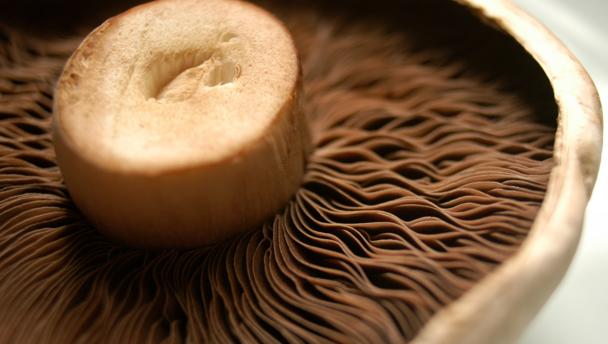 Portobello mushrooms