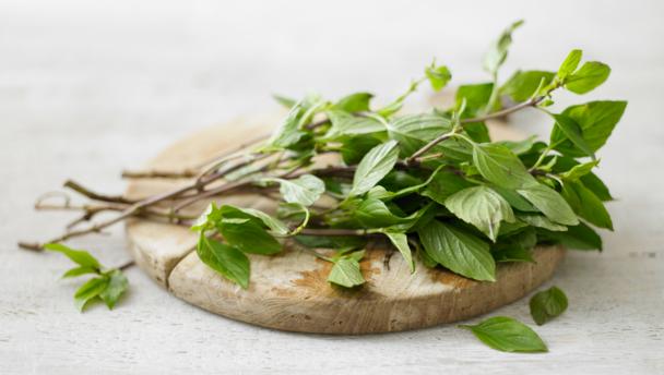 Thai basil