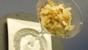 Danish rice pudding