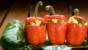 Paneer-stuffed peppers