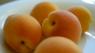 Apricot