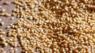 Barley