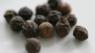 Black pepper