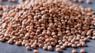 Brown lentil