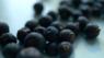 Juniper berries
