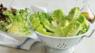 Lettuce