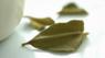 Lime leaves
