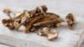Porcini