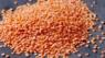 Red lentil