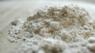 Spelt flour
