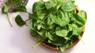 Spinach