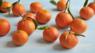 Tangerine