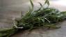 Tarragon