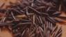 Wild rice