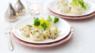 Scallop