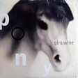 
                                    
                
                Ginuwine                
                                    
                             - Pony Mp3