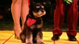 The Winning Toto Revealed! 