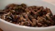Calf's liver with sweet and sour onions