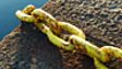 See the most recent links in The Chain