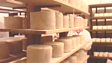 Ayrsire Cattle and Dunlop Cheese