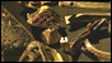 Introduction to the Staffordshire Hoard programme