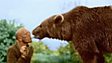 From the archive: the Wojtek story