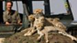Jonathan Scott: a wild life in Africa 