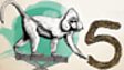 Kipunji, (Rungwecebus kipunji)
