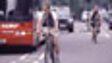 Van Driver Sacked