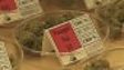 The World's Largest Cannabis Dispensary