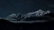 Wildlife Finder