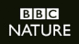 David Attenborough's favourite moments