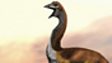 Elephant bird