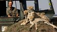 Jonathan Scott: a wild life in Africa 