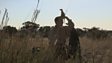 Meerkat magic moments