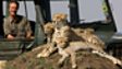 Jonathan Scott: a wild life in Africa