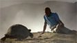 David Attenborough's top moments