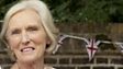 BBC TV Blog