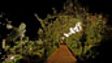 Gardens at Night