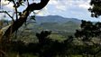 Soldiers tell of Zimbabwe diamond field massacre 