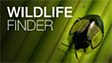 Wildlife Finder
