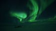 BBC Nature: The greatest light show on Earth